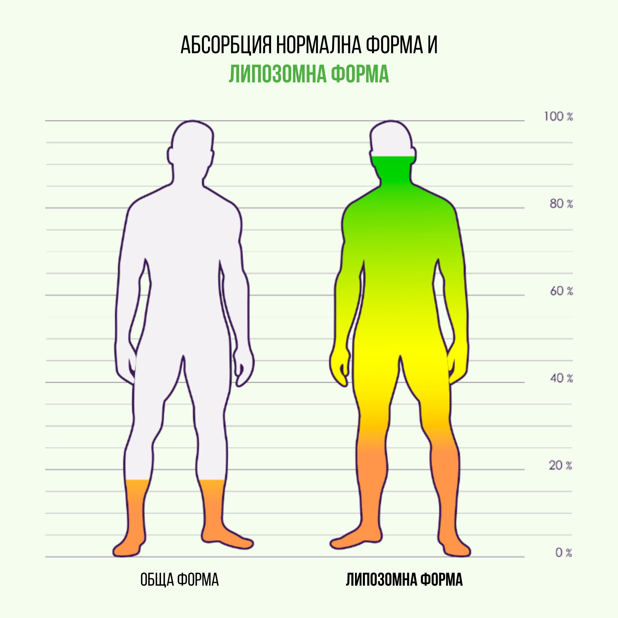 (Bulharština) (3)_1